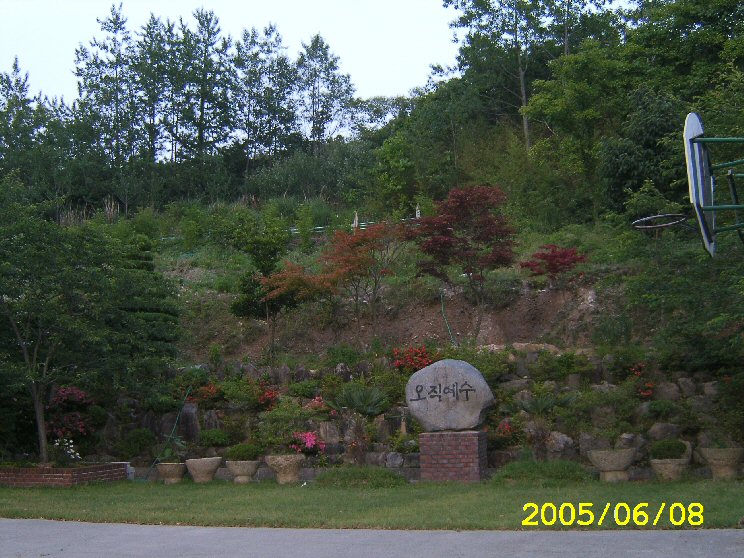1 210.jpg